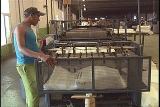 Produjo Sarex 20,6 millones de sacos para sustituir importaciones