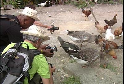 Impresionados turistas  de Turnat con la flora y  fauna del macizo Guamuhaya