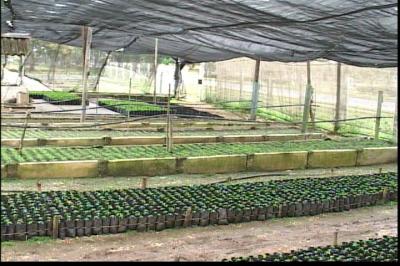Nuevo punto de venta en Villa Clara  favorece  la agricultura familiar