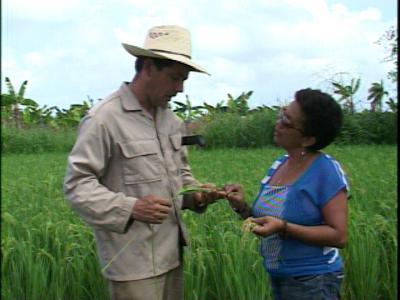 Rebajan precios de implementos agrícolas en Villa Clara