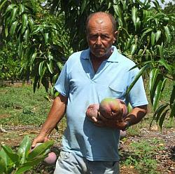 Sesiona en Villa Clara encuentro internacional de agroecología y agricultura sostenible